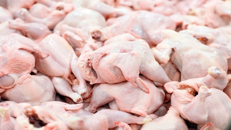 آخرین‌ جزئیات توزیع مرغ گرم در میادین