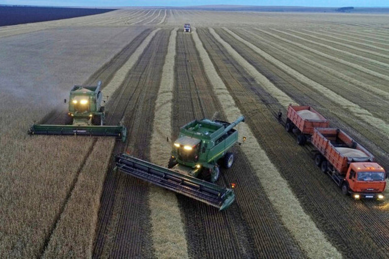 صادرات کشاورزی روسیه ۲۰ درصد جهش کرد