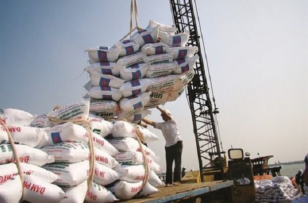 بیش از 100 هزار تن برنج آماده ورود به کشور و ترخیص در گمرکات