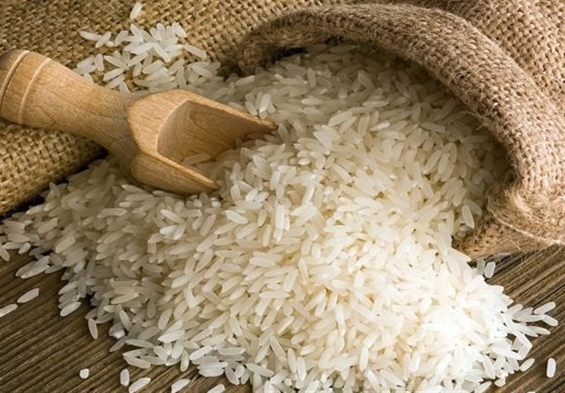 ممنوعیت فصلی واردات برنج لغو شد / قیمت برنج کاهش می یابد