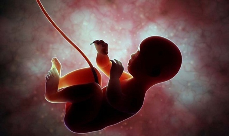 فاجعه سقط جنین از مرگ و میر کرونا بیشتر است