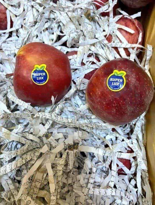 جوسازی رسانه ای علیه محصولات ایرانی یا واقعیت تلخ علیه قرآن بخاطر سود بیشتر درتجارت سیب؟!