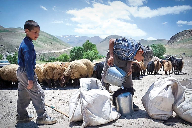 سفر به پایتخت پنیر ایران سفر به پایتخت پنیر ایران
