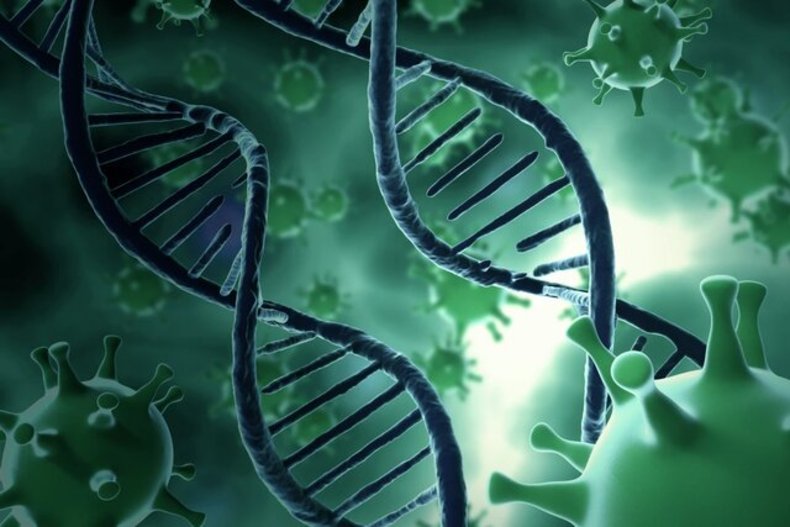 غیر فعال کردن ژن مسئول گسترش انواع سرطان