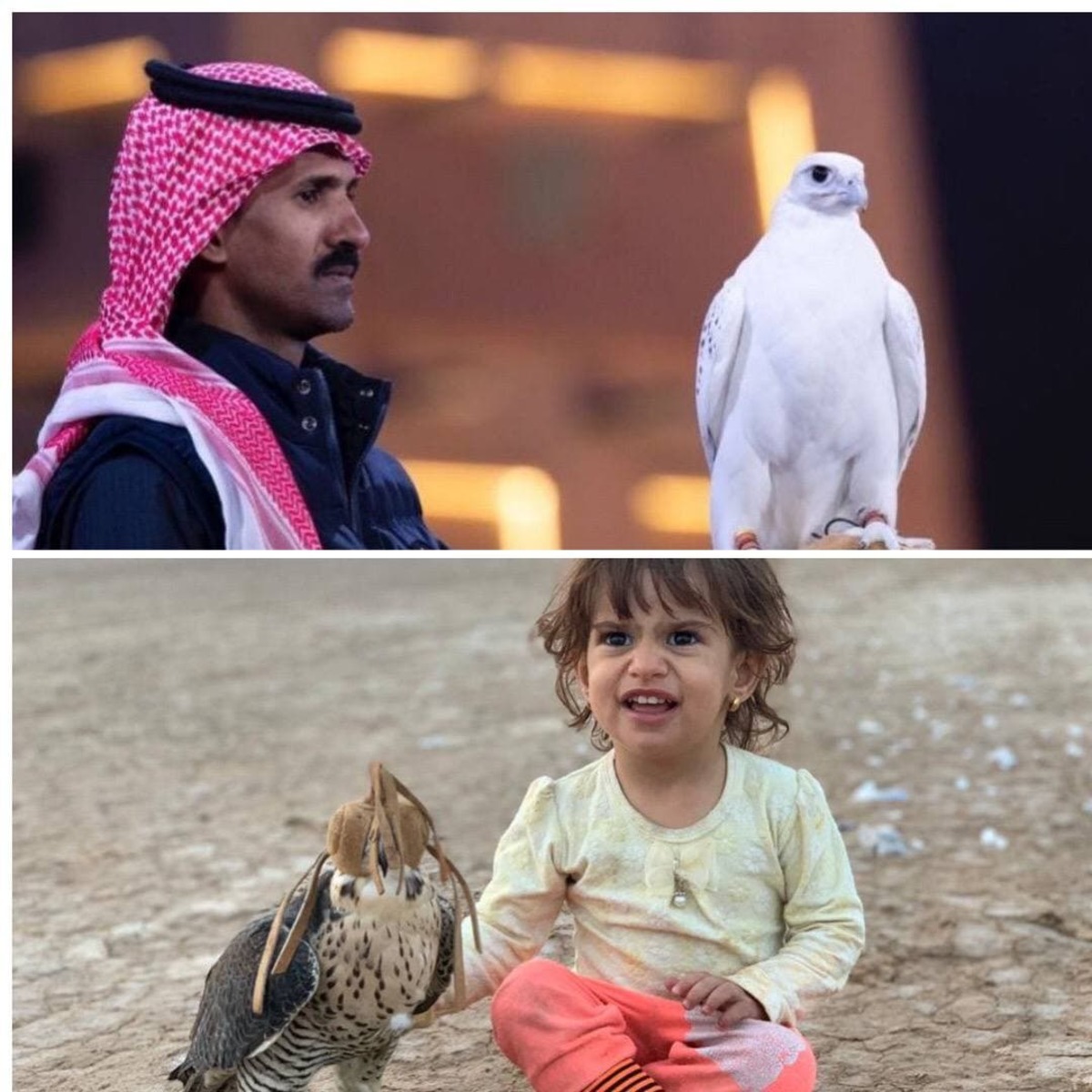 قضاوت با شما مخاطبین بولتن نیوز