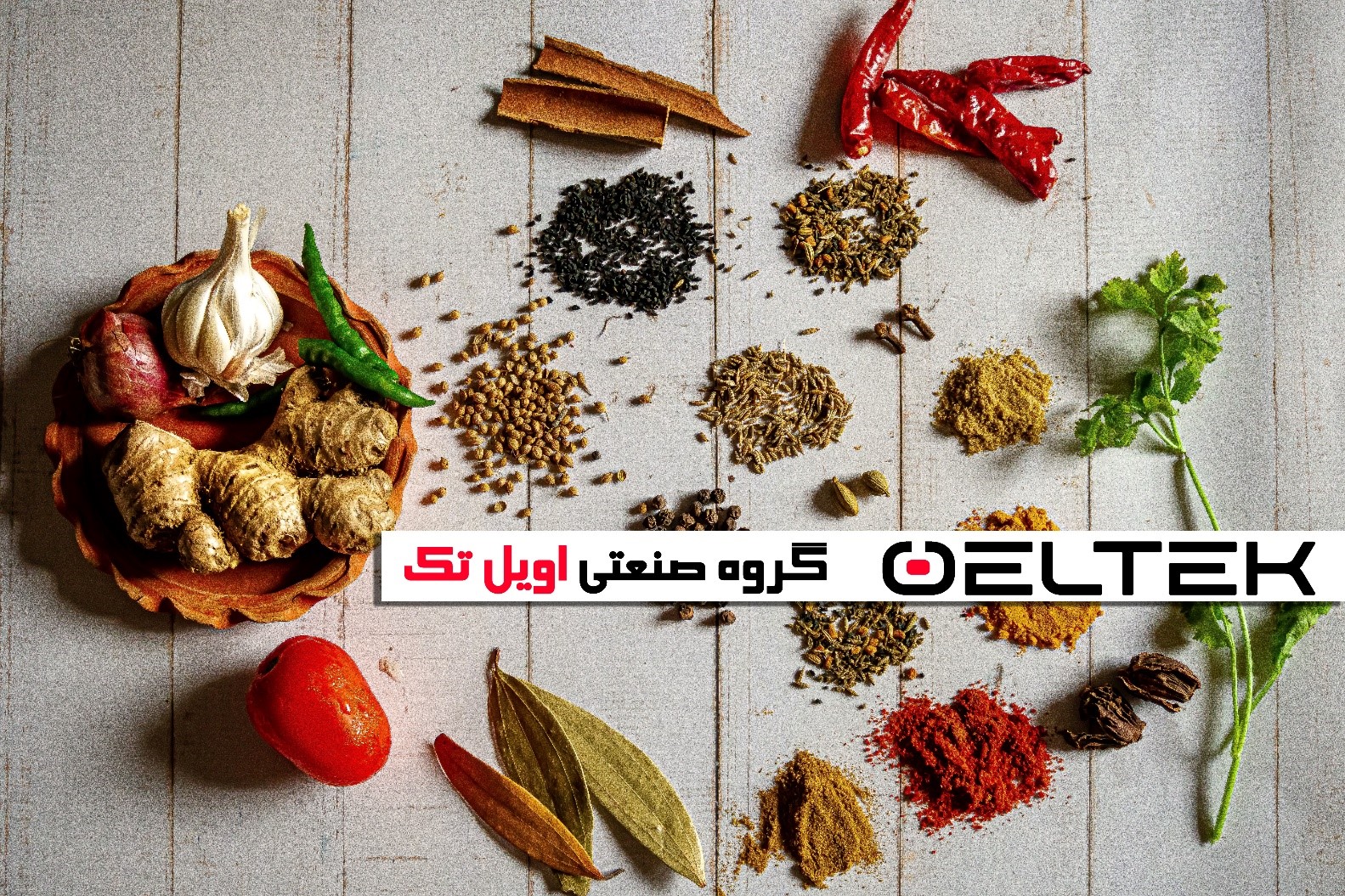 قیمت آسیاب خانگی بست 100 گرم قیمت آسیاب خانگی بست 100 گرم