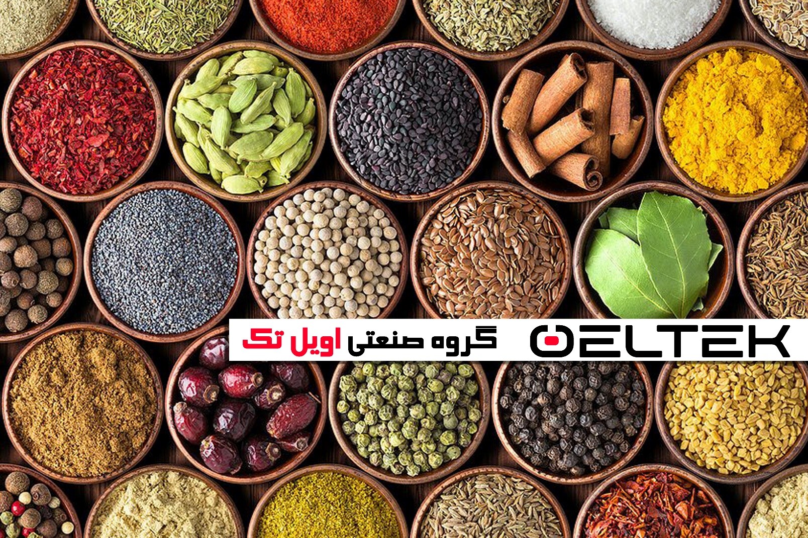 قیمت آسیاب خانگی بست 100 گرم قیمت آسیاب خانگی بست 100 گرم