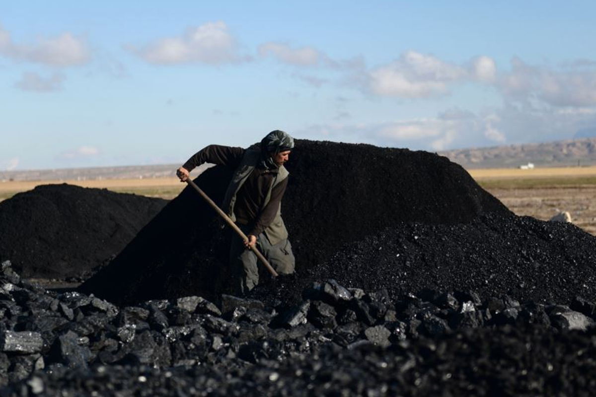 عدم النفع ۲ میلیون تن زغال‌سنگ کنسانتره به خاطر واگذاری‌های نامناسب پهنه‌های معدنی