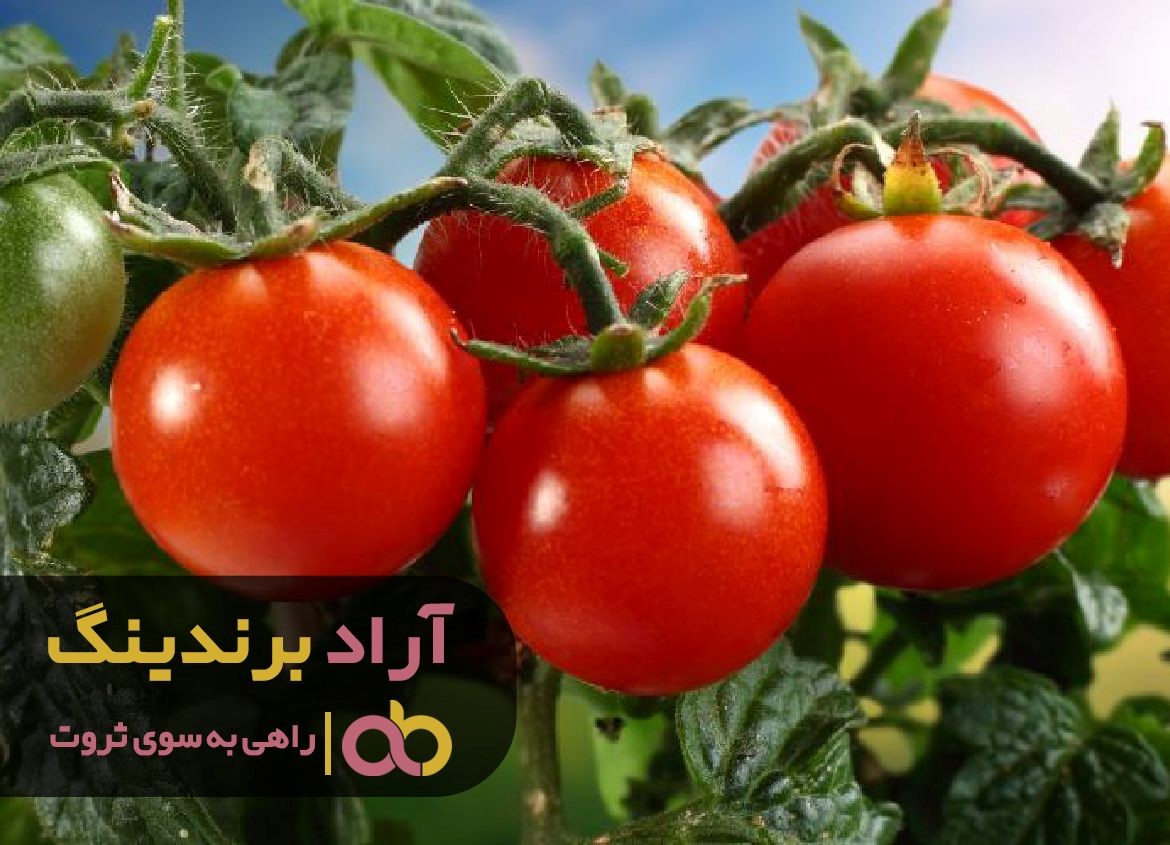 در زمان و مکان مناسب توانستم ثروت حیرت ‌انگیزی را بدست آورم