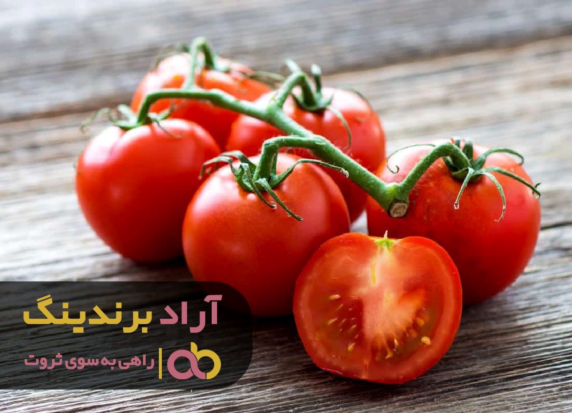 در زمان و مکان مناسب توانستم ثروت حیرت ‌انگیزی را بدست آورم