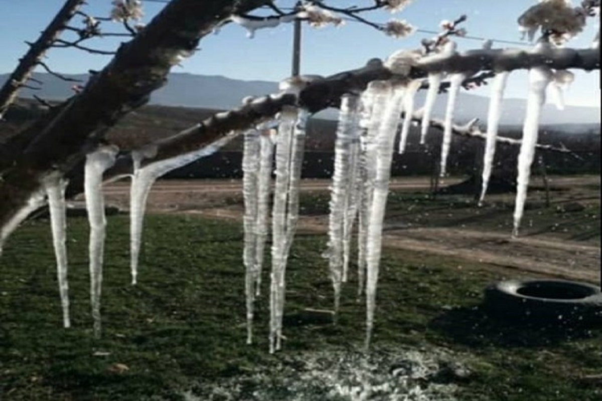 هوای سرد در کردستان تا روز شنبه ادامه دارد