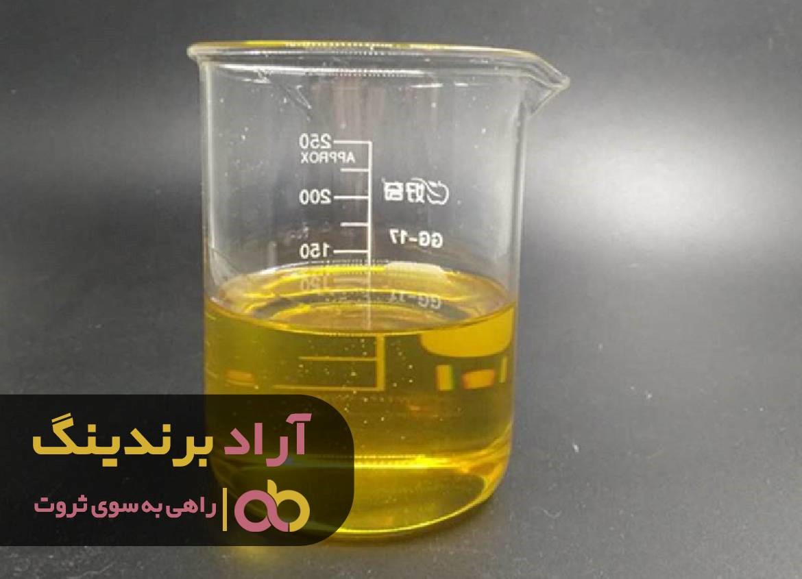 دیوارِ موفقیت را بالا رفتم