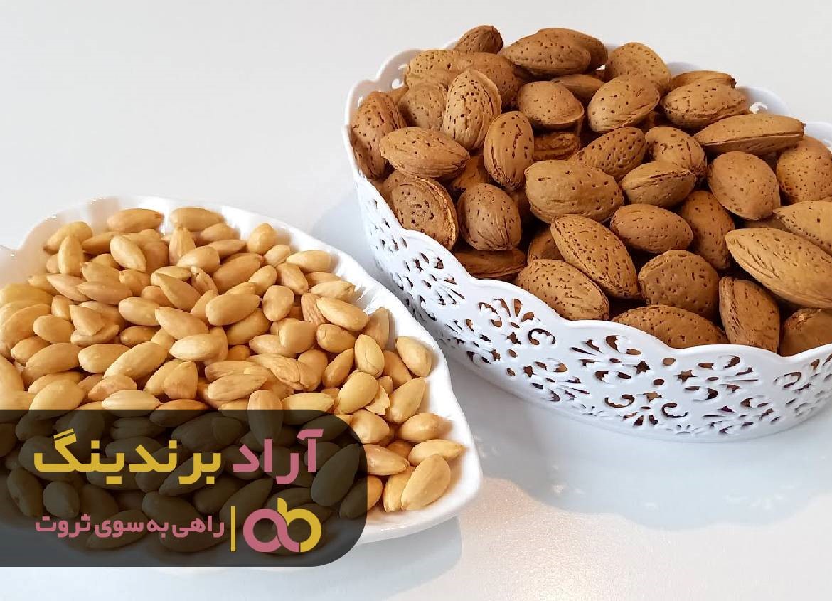 راز موفقیت ثروتمندان دنیا فاش شد