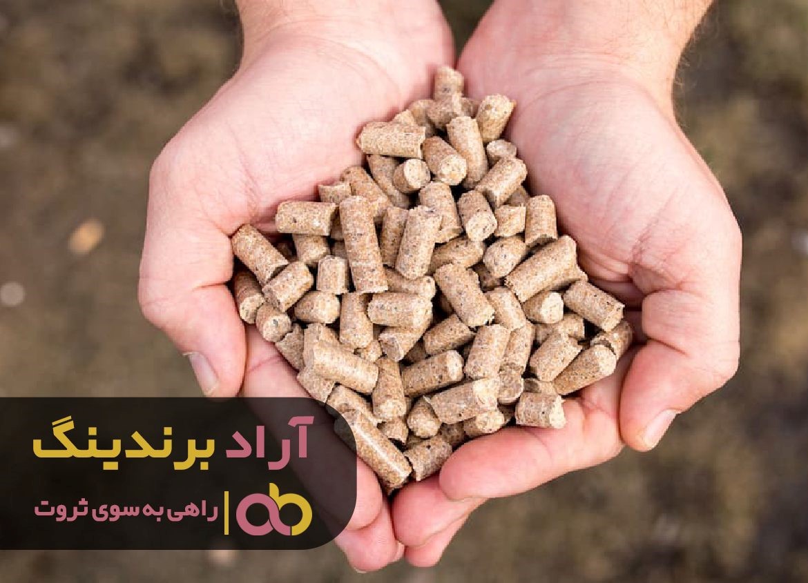 با شناسایی استعدادها یم به گنج ثروت رسیدم