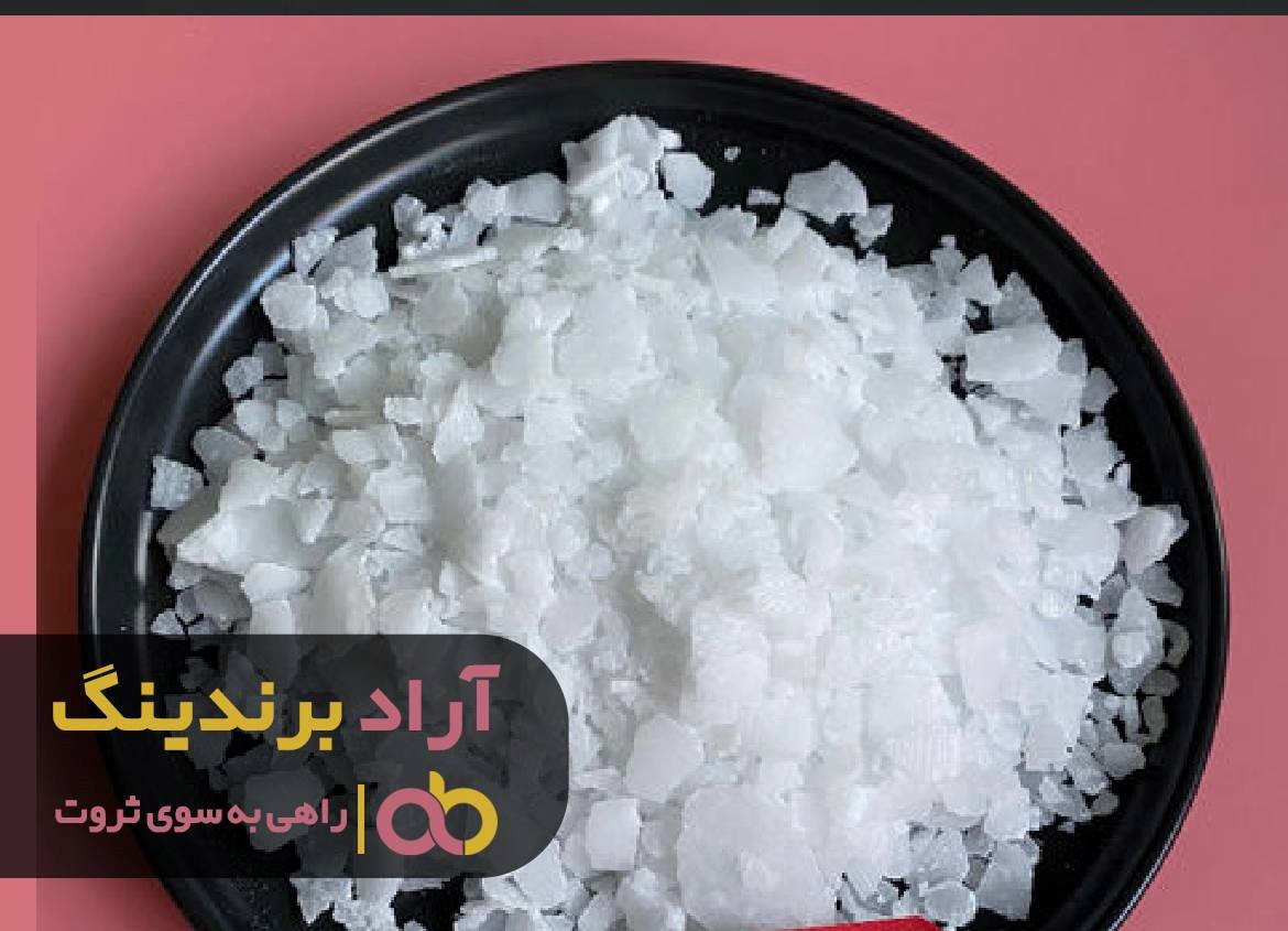 مسیر رسیدن به موفقیت را با سرعت طی کردم