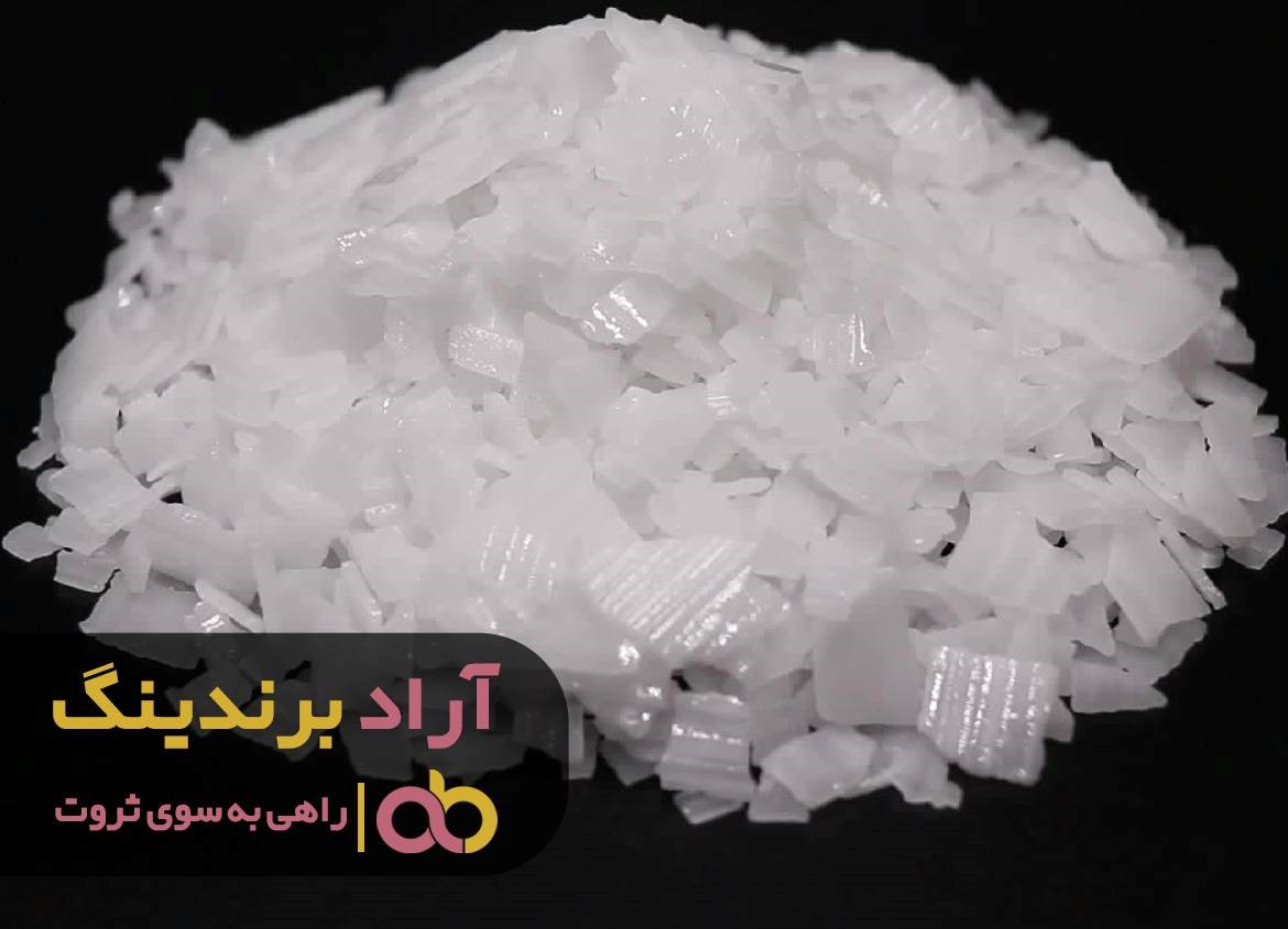مسیر رسیدن به موفقیت را با سرعت طی کردم
