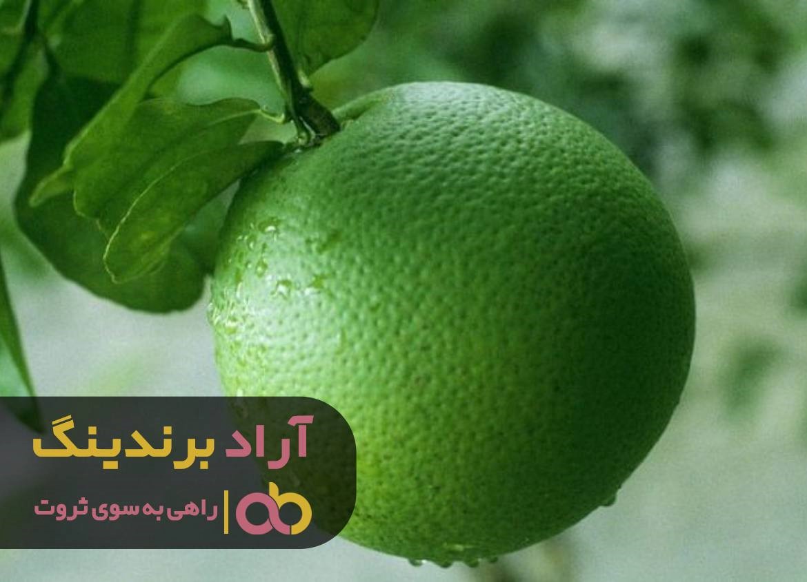 کلید های طلایی که  توانستند قفل ثروت را بگشایند