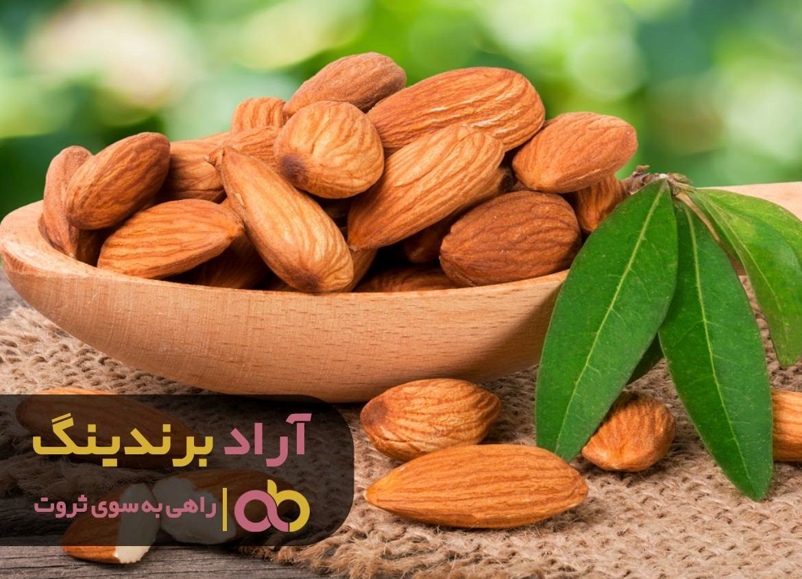 ثروت با برنامه ریزی از زمین و آسمان می بارد