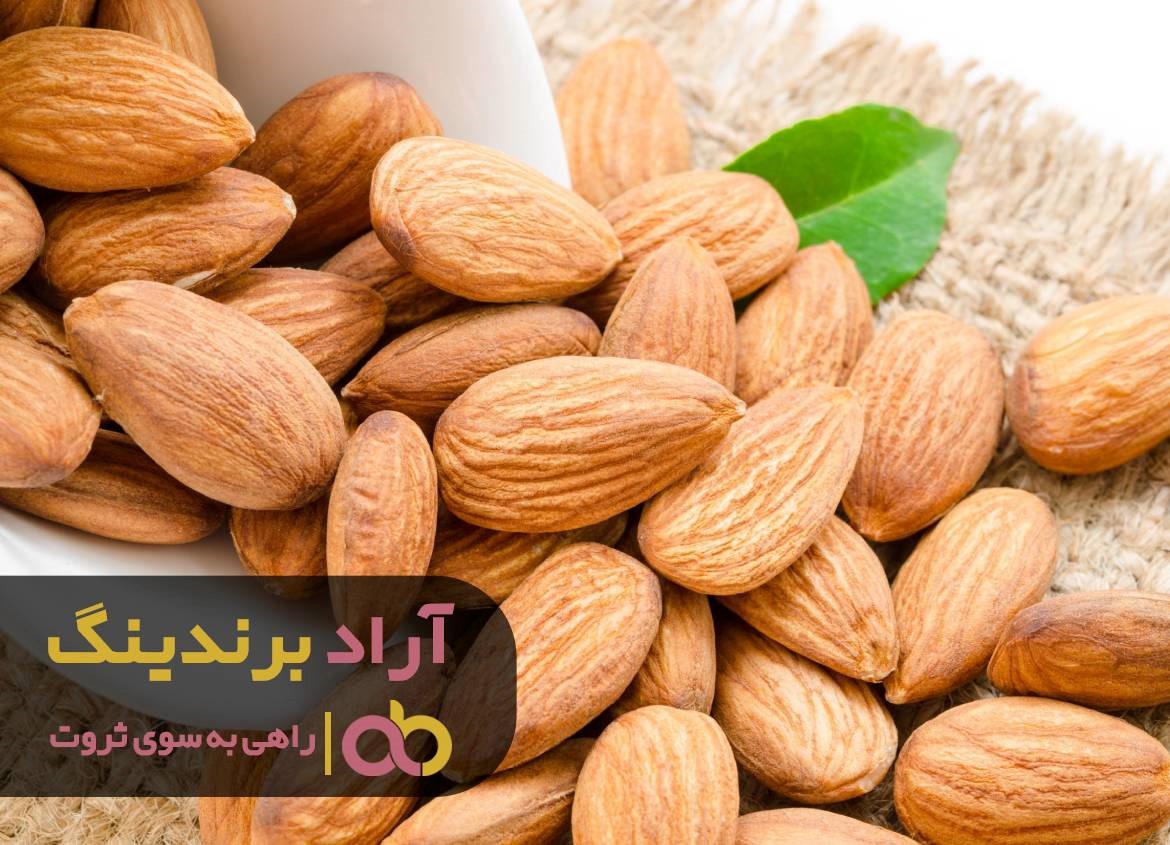 ثروت با برنامه ریزی از زمین و آسمان می بارد