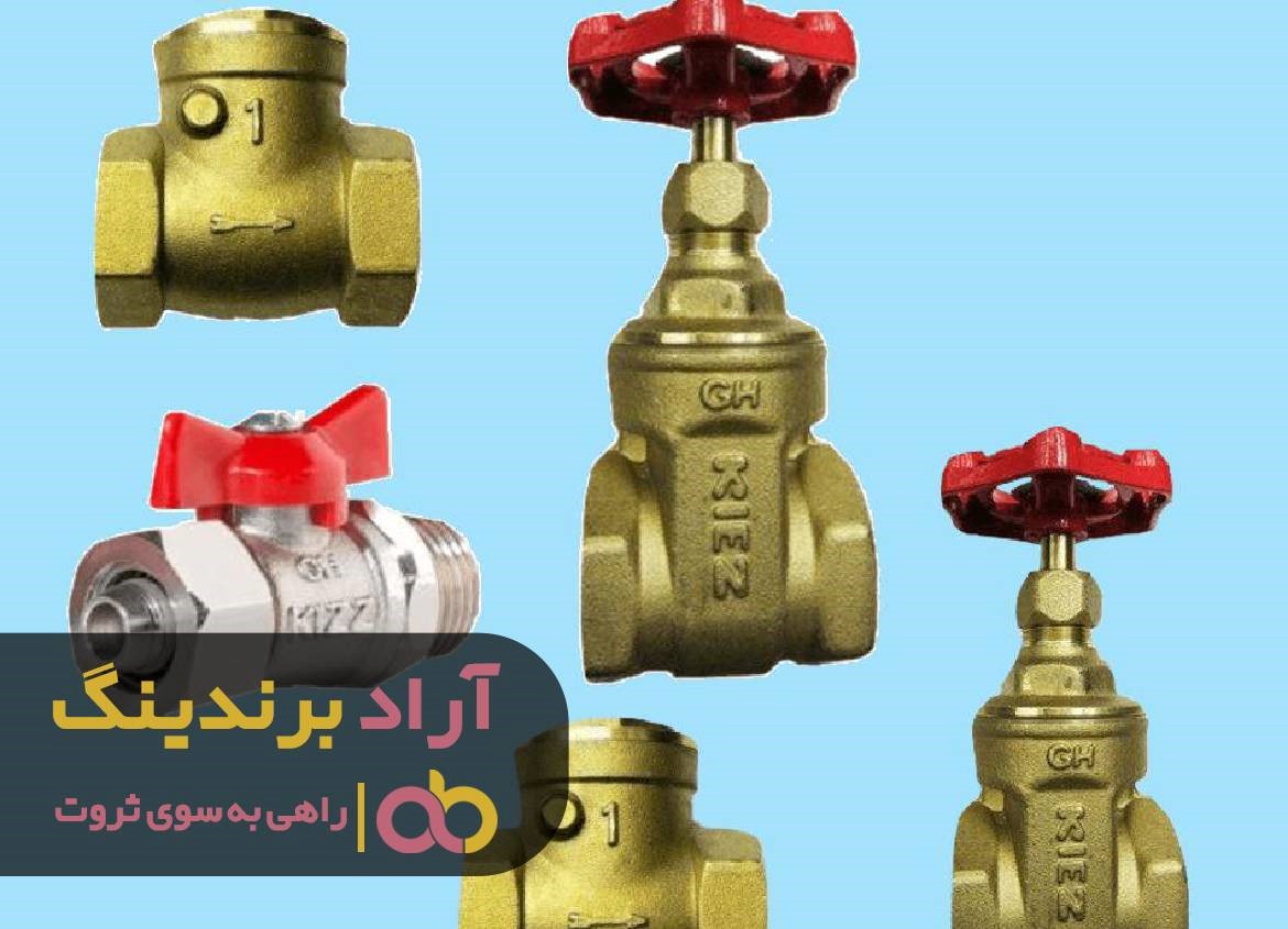 با  موفقیت به دریای ثروت رسیدم