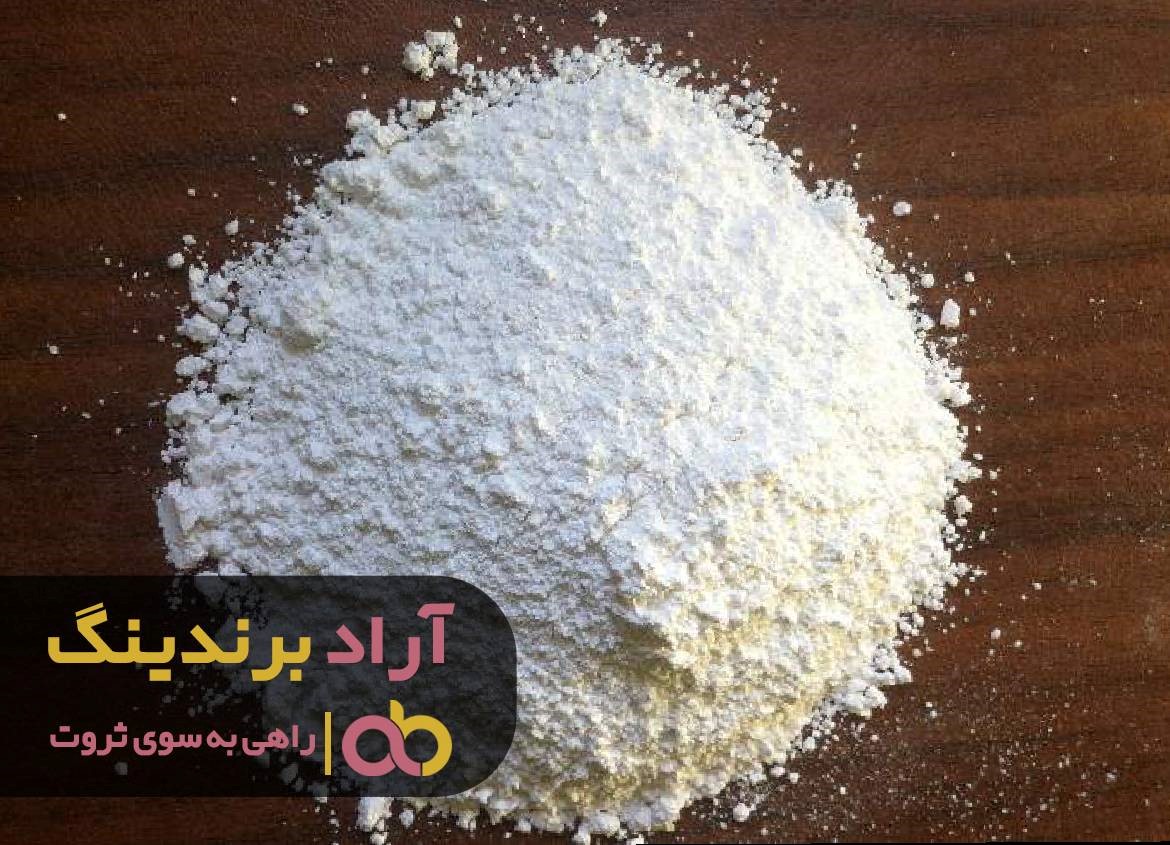 چگونه ‌توانستم موفق و ثروتمند شوم