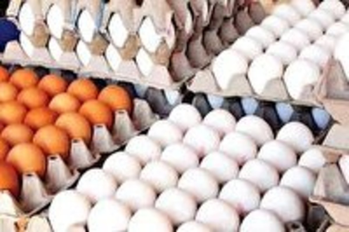 طرح تشدید بازرسی بر بازار تخم مرغ آغاز شد