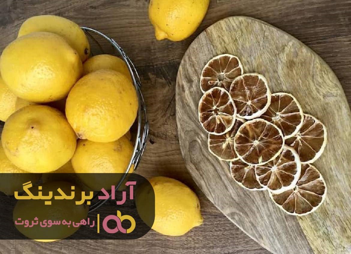 با کارآفرینی سایه موفقیت بر روی زندگی ام افتاد