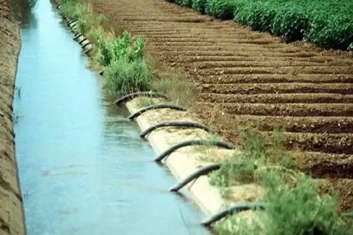 واکاوی اتلاف نجومی آب در بخش کشاورزی/ ارتقای بهره‌وری آبیاری ستون حل مسأله آب در ایران