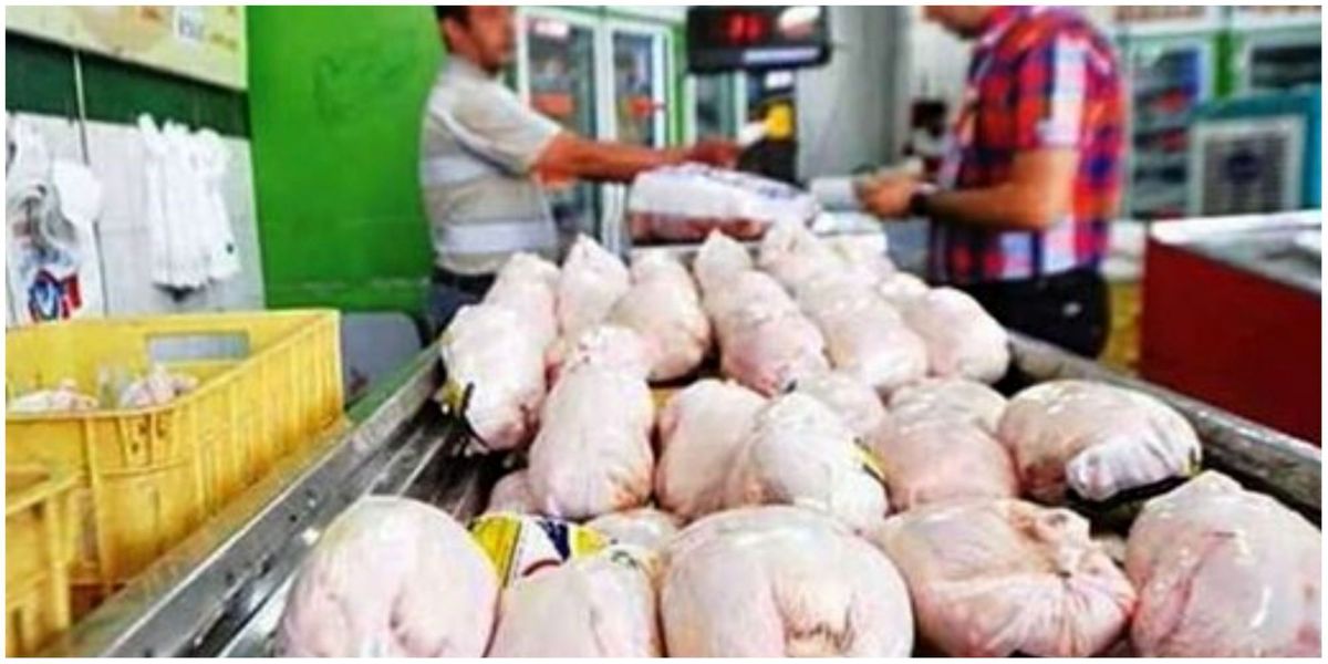 قیمت مرغ تا پایان سال کماکان کمتر از نرخ مصوب خواهد بود
