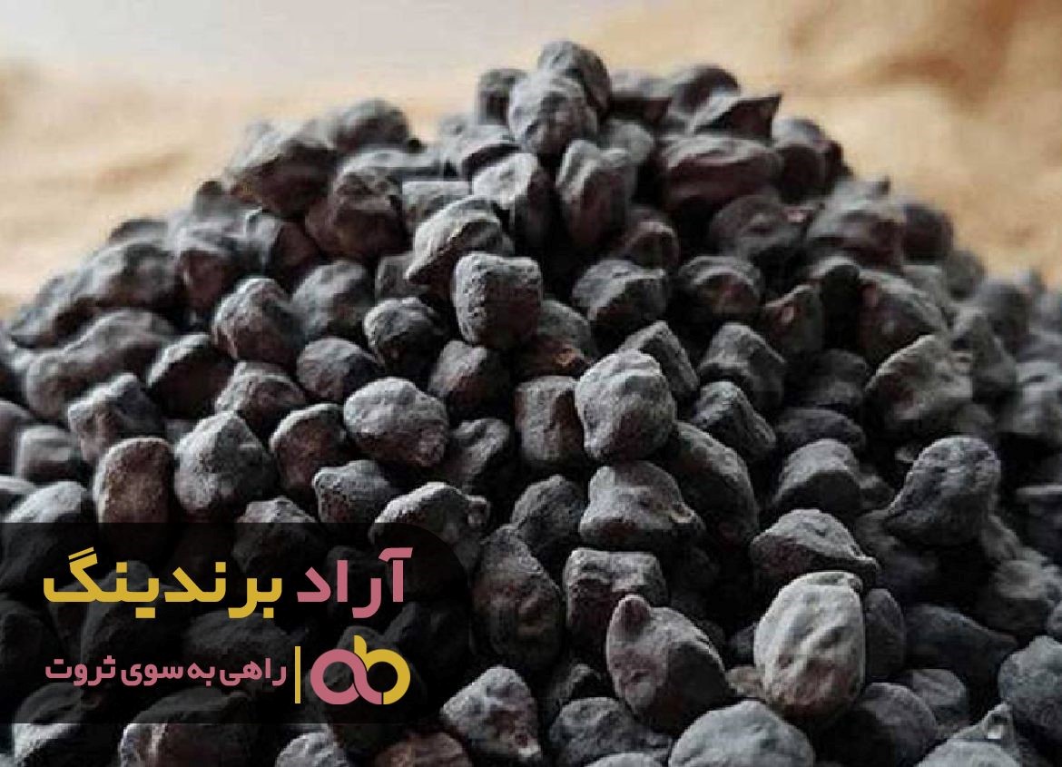 فقر را به دنبال نخود سیاه فرستادم و ثروتمند شدم