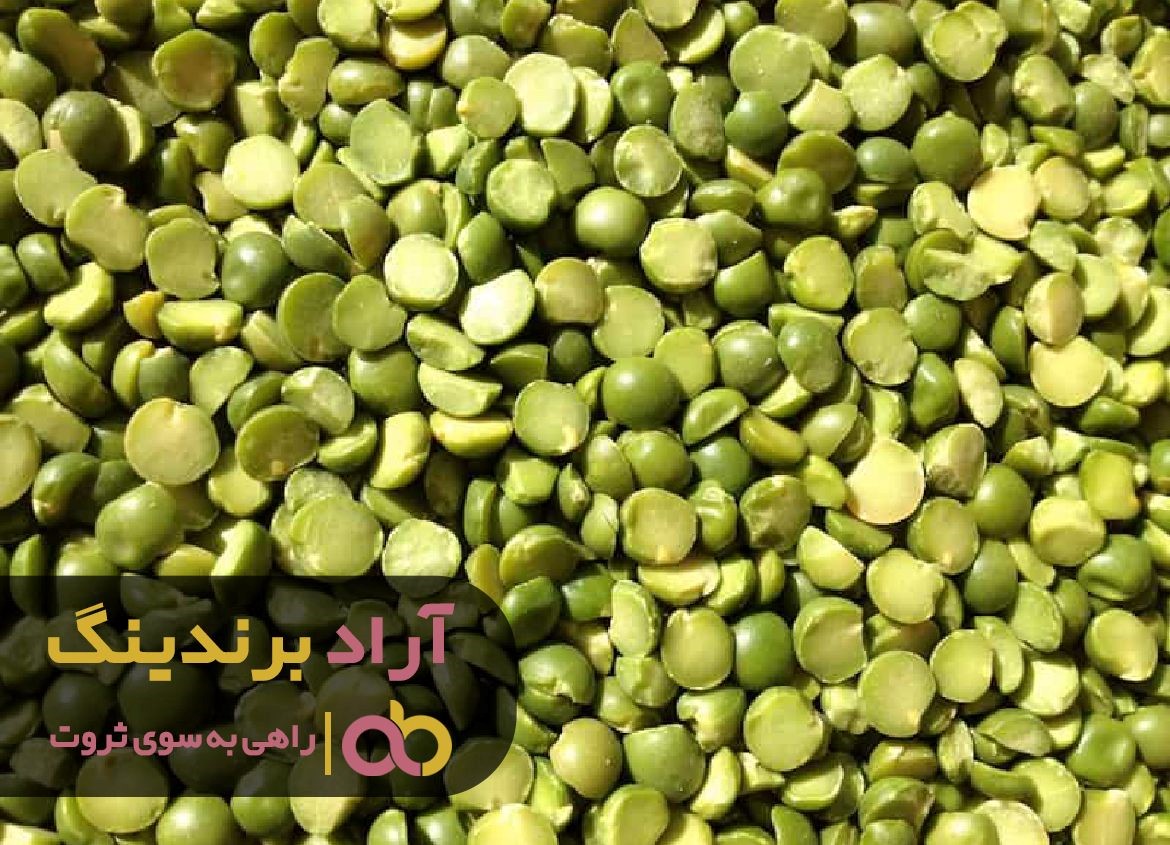 فقر را به دنبال نخود سیاه فرستادم و ثروتمند شدم