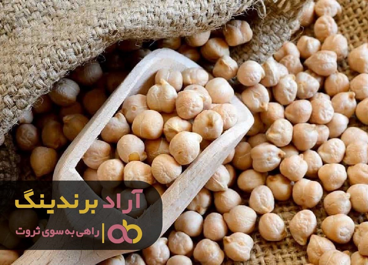 فقر را به دنبال نخود سیاه فرستادم و ثروتمند شدم