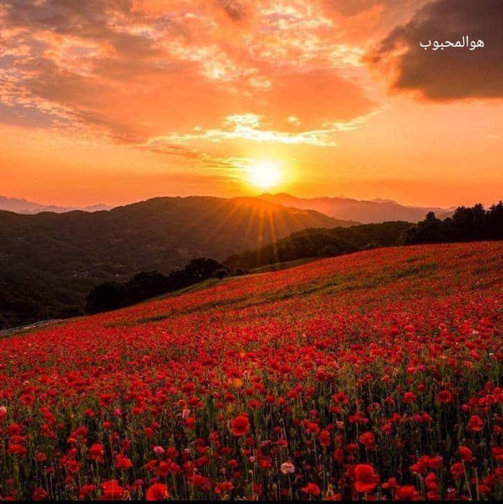 پبام صبحگاهی