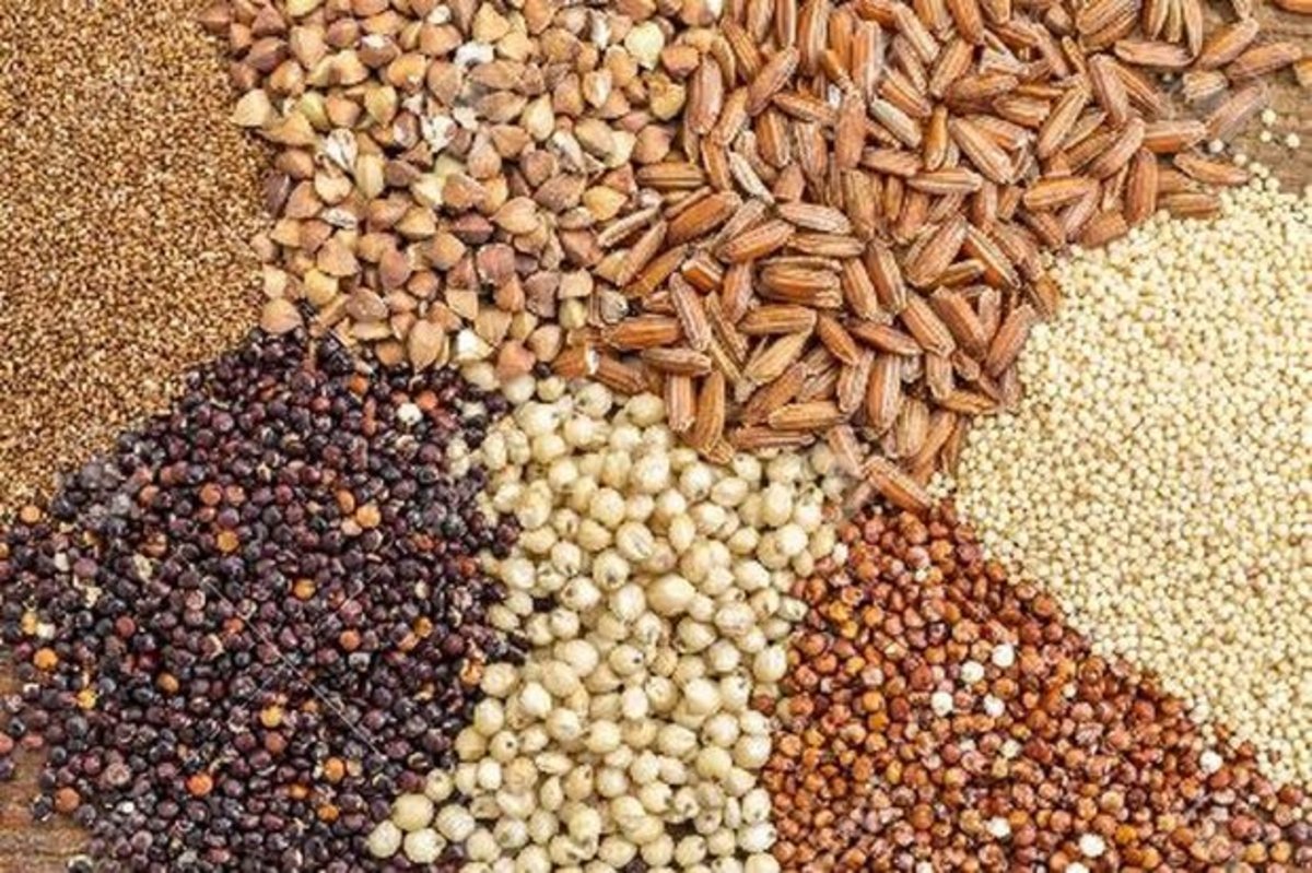 اختلال جدی در توزیع نهاده های دامی