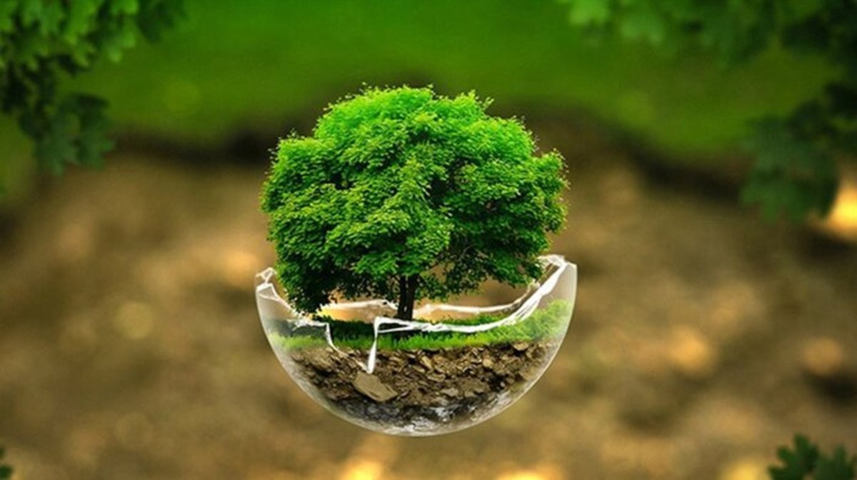 روز جهانی زمین پاک؛ نمادی از ترویج فرهنگ پاسداری از محیط زیست