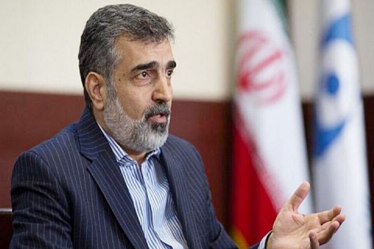 کمالوندی: ایران اقدامات بیشتری را در نظر دارد/ به پادمان متعهدیم