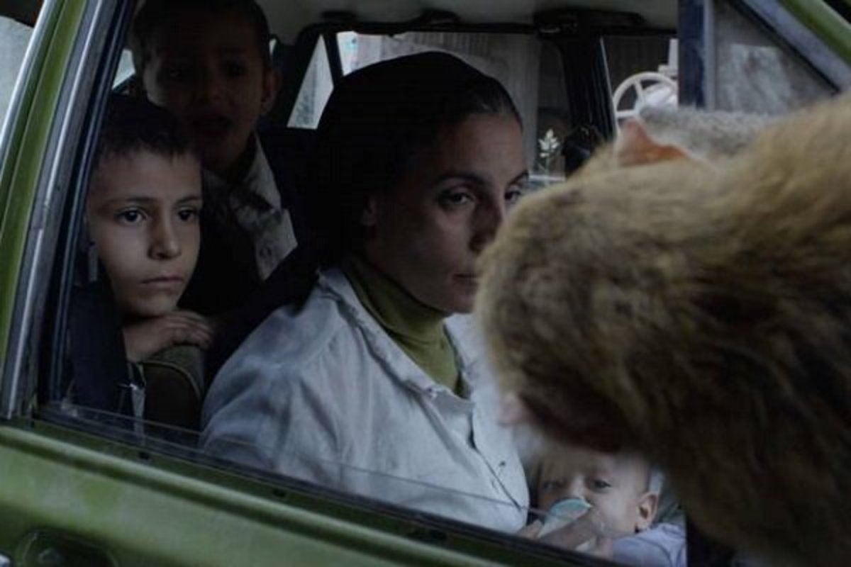 «پرها» بهترین فیلم عربی سال لقب گرفت