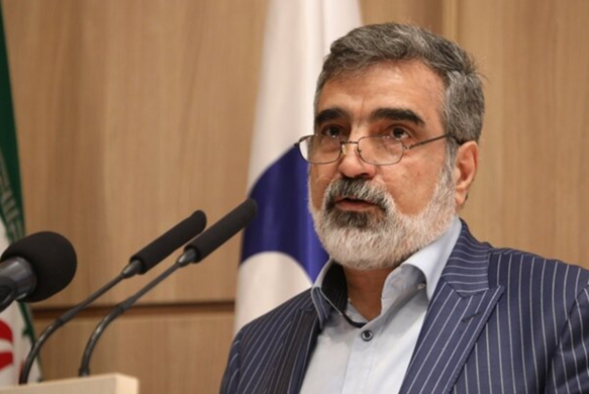 کمالوندی: آژانس در جریان کامل اقدامات ایران در مجتمع نظنز است