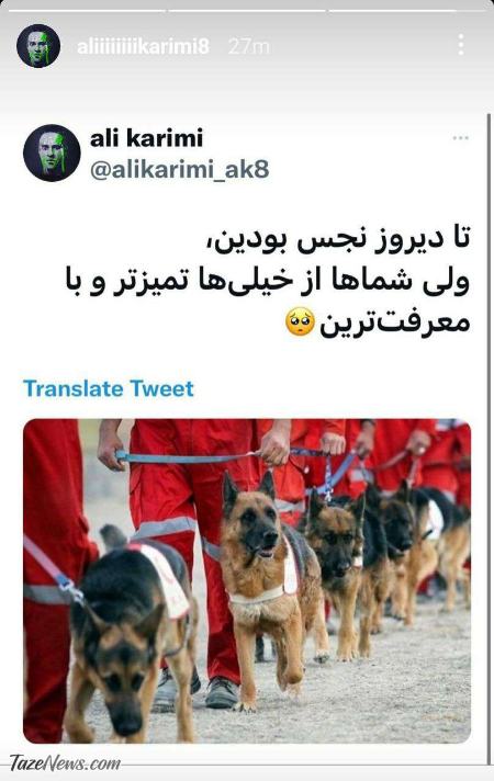 حماقت این جماعت تمام شدنی نیست!