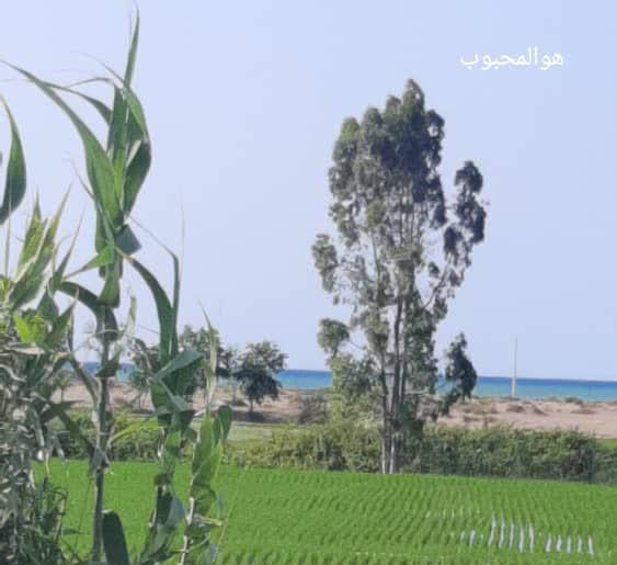 پروا کردن
