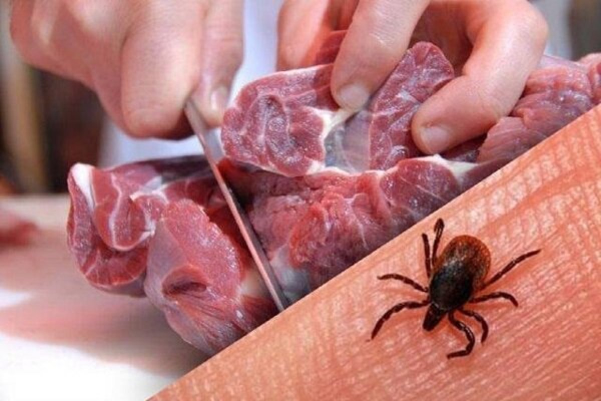 بدون مهر دامپزشکی گوشت نخرید