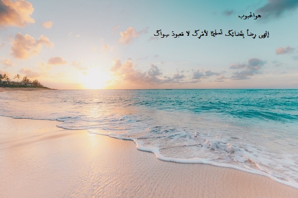 إلهِى رِضاً بِقَضائِکَ تَسلِیمًا لأمْرِکَ لا مَعبودَ سِواکَ