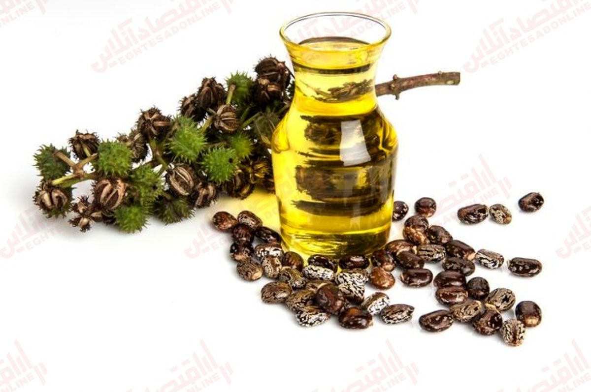 14 تا از خواص روغن کرچک برای پوست و مو