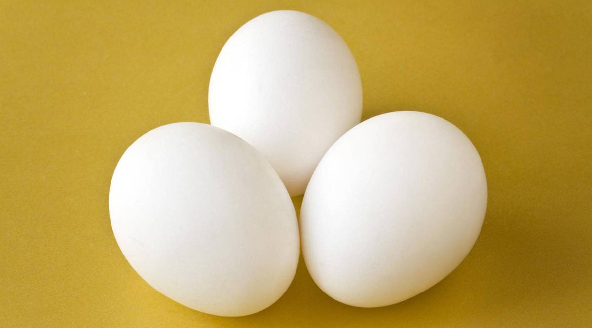 فروش تخم مرغ با نرخ ۹۰ هزار تومان گرانفروشی است
