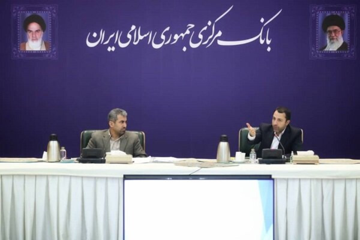 تضعیف شفافیت تسهیلات بانکی نتیجه مصوبه شورای پول و اعتبار