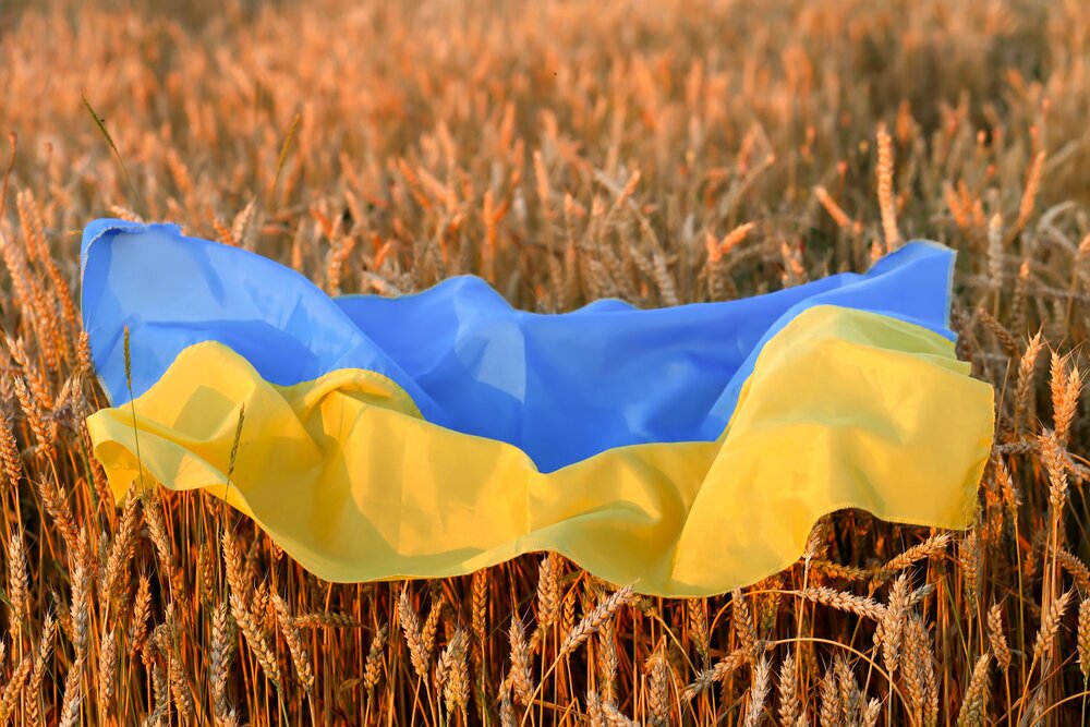 آلمان: صادارت غلات اوکراین برای جلوگیری از بحران جهانی غذا ضروری است