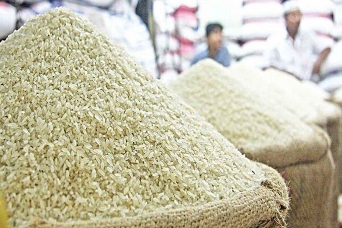 قیمت برنج خارجی ۲۰ درصد کاهش می‌یابد