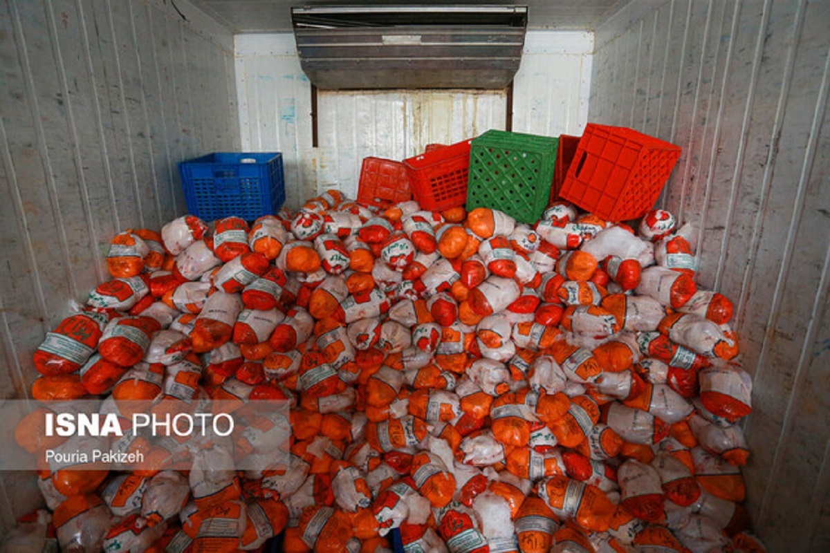 رفع ممنوعیت صادرات مرغ به عراق