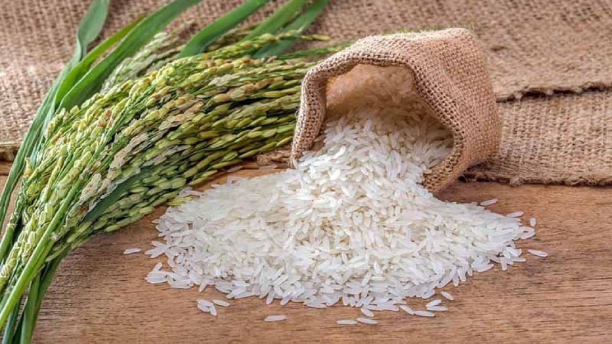 قیمت برنج ۱۰ تا ۱۵ هزار تومان کاهش یافت