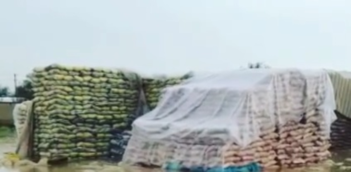 مدیری که باعث نابودی ده‌ها تن برنج در گمرک زاهدان می‌شود باید از شرمندگی آب نشود نه که بگوید بیمه‌ایم نگران نباشید